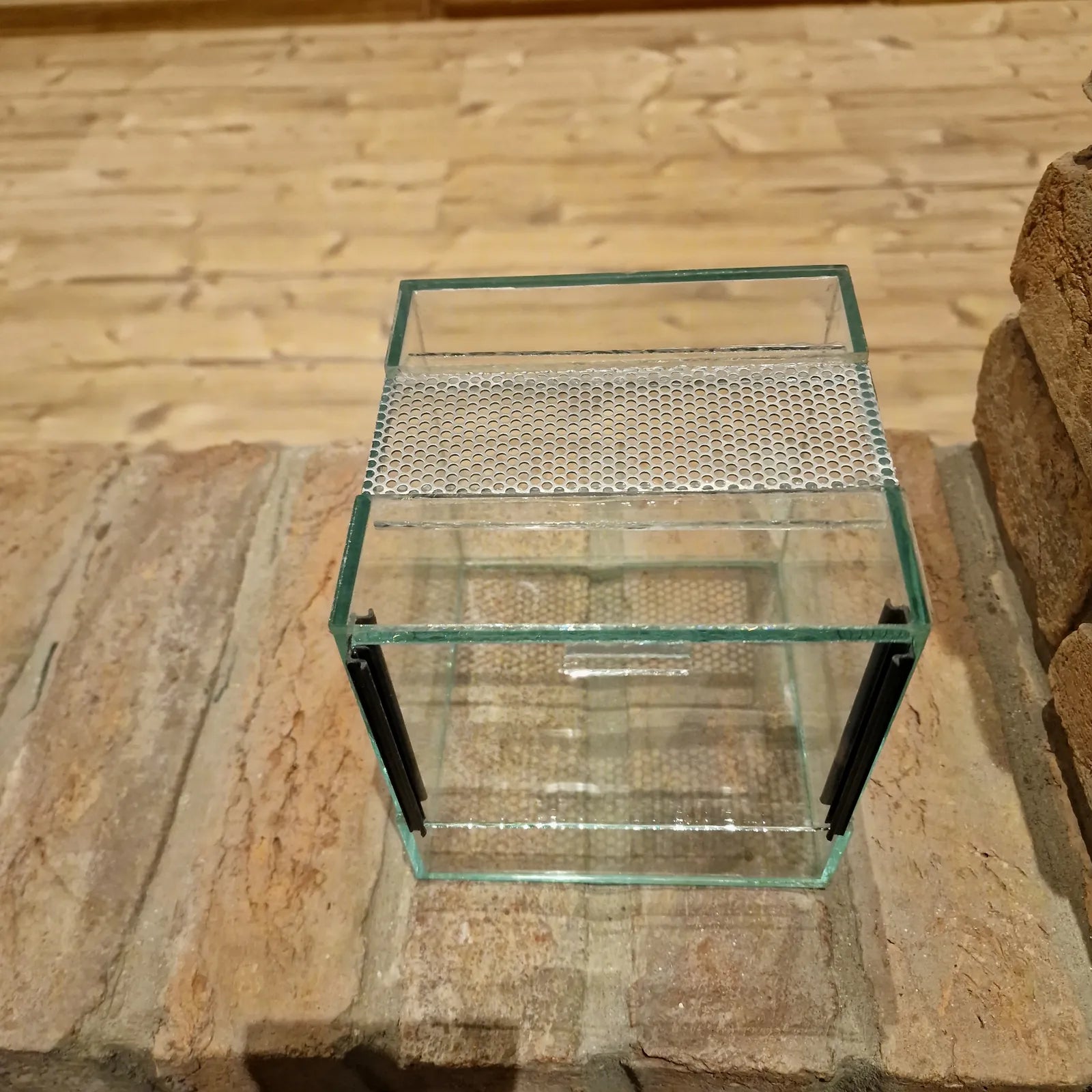 Giotin ajtós terrárium – 15×15×15 cm