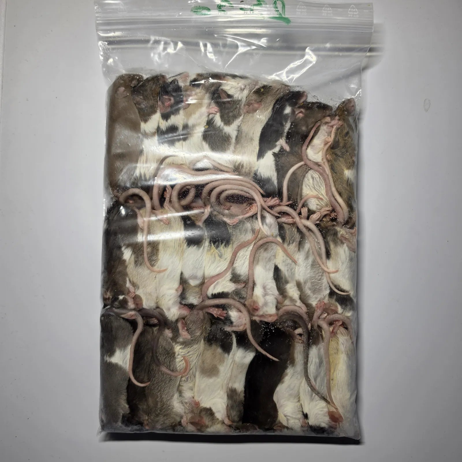 Színes fagyasztott egér