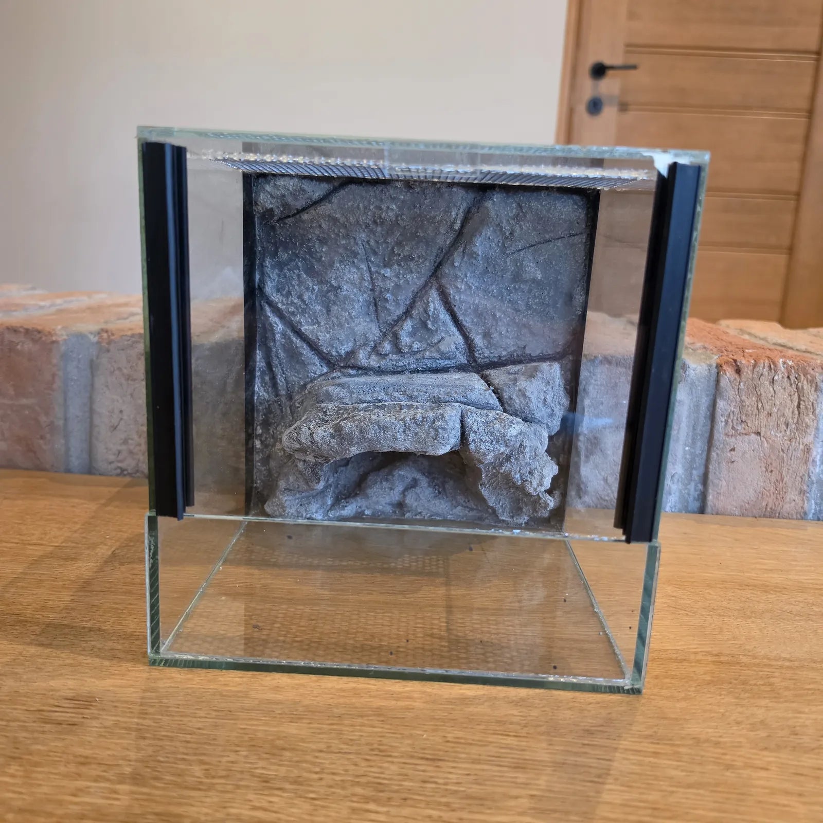 20×20×20 háttérrel ellátott terrárium