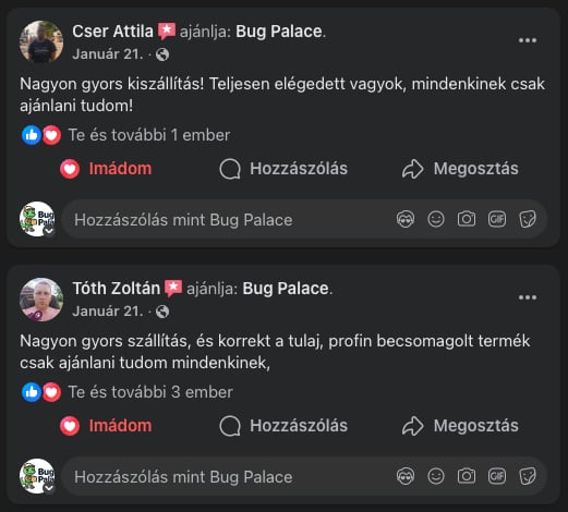 Bug Palace