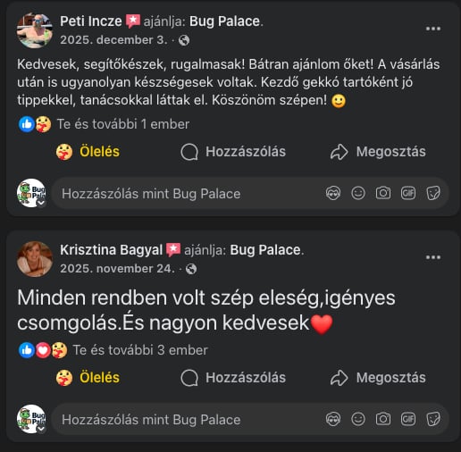 Bug Palace