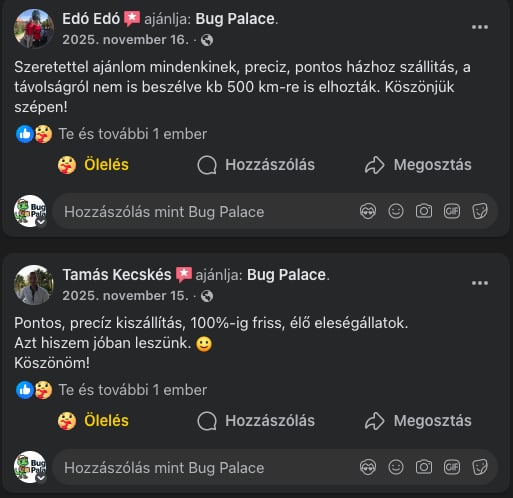 Bug Palace