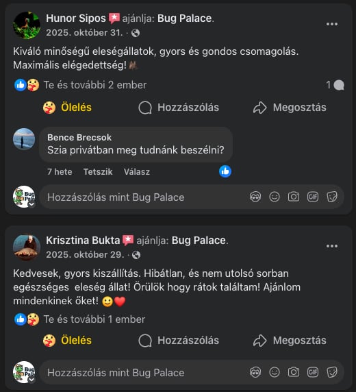 Bug Palace