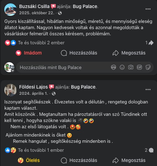 Bug Palace