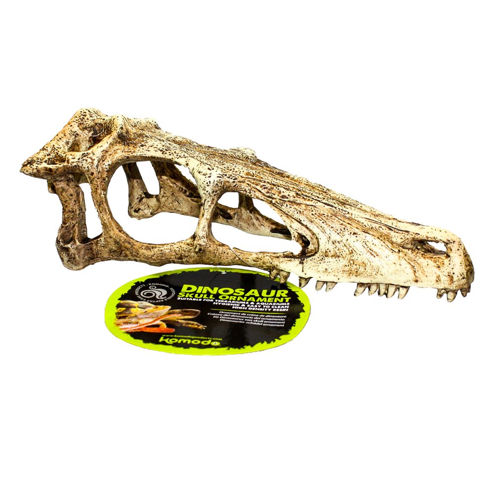 Komodo Dinoszaurusz koponya S méret