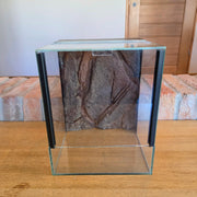 25×25×30 háttérrel ellátott terrárium – Ideális mászó fajokhoz