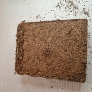 Kókuszrost talaj terráriumba