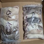 Fagyasztott patkány