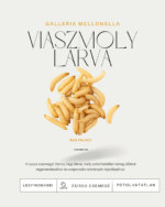 552784349_817254157518303_4134986281180630766_n (1)