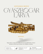 553320750_1911860996341047_834262471087731586_n (1)