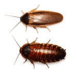 553568516_3045067712366427_7989787990949217945_n