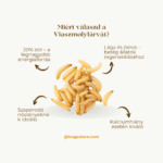 553840007_1014340284123562_4734769885545467774_n (1)