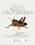 565324112_1851993375401722_3237890362138151613_n (1)