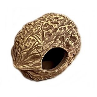 Dió kerámia dekor – 19×15×10 cm