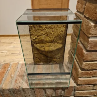 Álló terrárium 30×30×50 cm – háttérrel