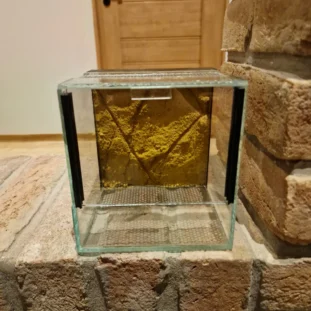 Giotin ajtós terrárium 15×15×15 cm – háttérrel