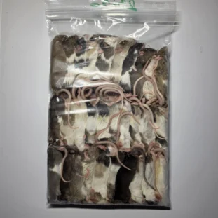 Színes fagyasztott egér – biztonságos eleség hüllőknek, kétéltűeknek és ragadozó madaraknak