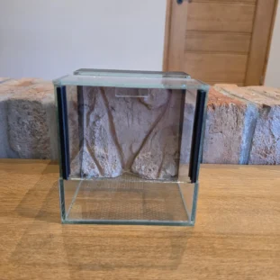 15×15×15 háttérrel ellátott terrárium